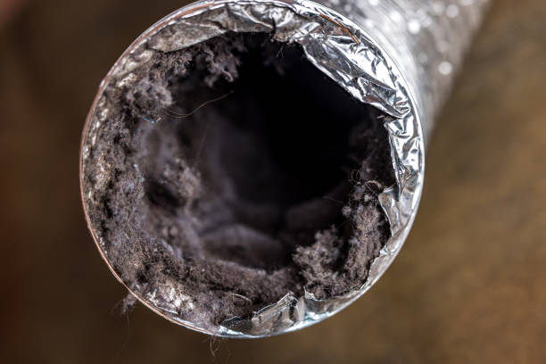Best Ventilation Cleaning Services  in Cleveland, AL